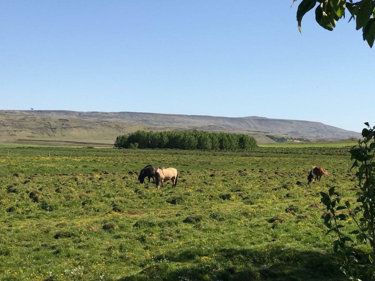Dalabyggd Cottages - Romantic Stay By The Secret Lagoon Flúðir Zewnętrze zdjęcie